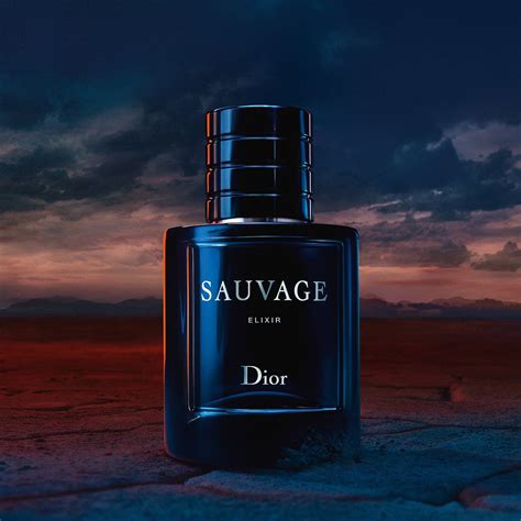 what smells like dior sauvage|best version of dior sauvage.